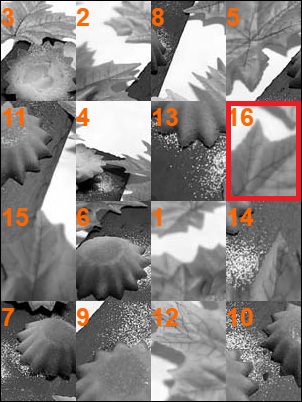 攻略説明用画像１