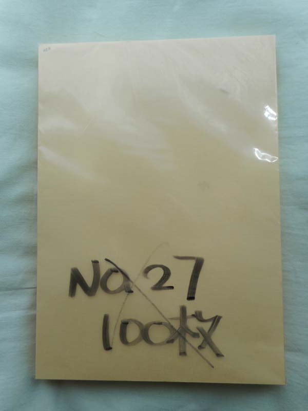 肌色の紙の画像がここに入っています